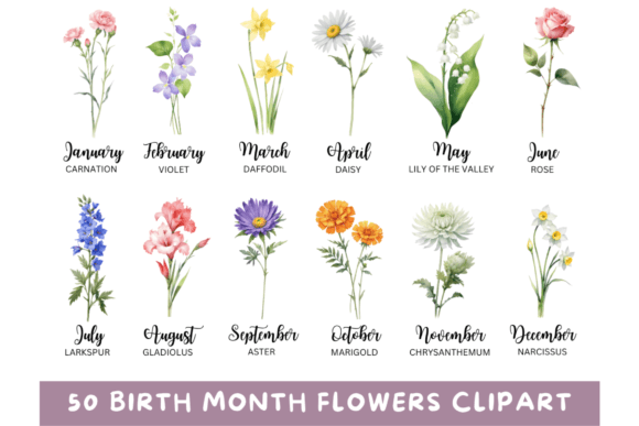 50 Watercolor Birth Month Flowers PNG: A Design Asset for Every Creator